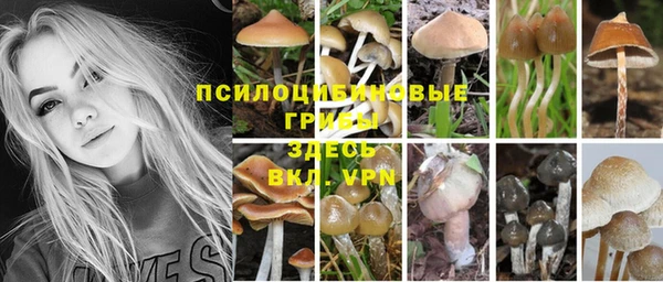 меф Корсаков