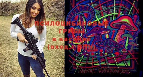 меф Корсаков