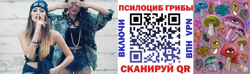 Псилоцибиновые грибы Cubensis  Купить где  Цимлянск 